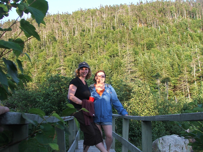 NFLD_drive_to_and-viking_settlement 560.jpg